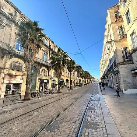 شقة Paillotte Bambou-montpellier Centre 10minutes - 35m2 Terrasse- Parking كاستيلنو-لو-ليه